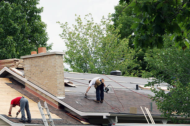 Best Roof Maintenance and Cleaning  in Mcarthur, OH