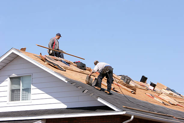 Best Roof Insulation Installation  in Mcarthur, OH